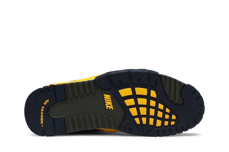 Nike Air Trainer 3 Viotech