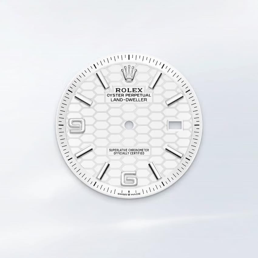 Rolex | Land-Dweller | 127334-0001 | Gold/Steel | 40 mm | Steel | White | Automatic