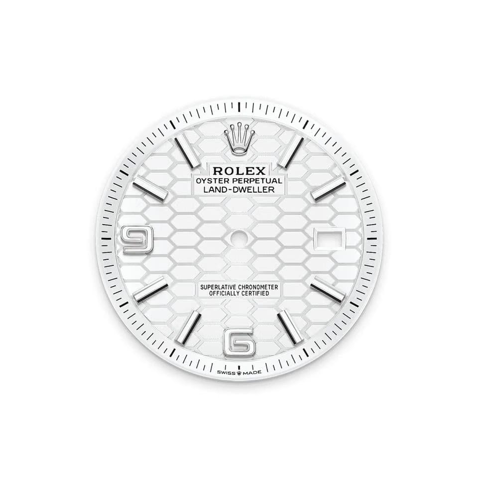 Rolex | Land-Dweller | 127334-0001 | Gold/Steel | 40mm mm | Steel | White | Automatic