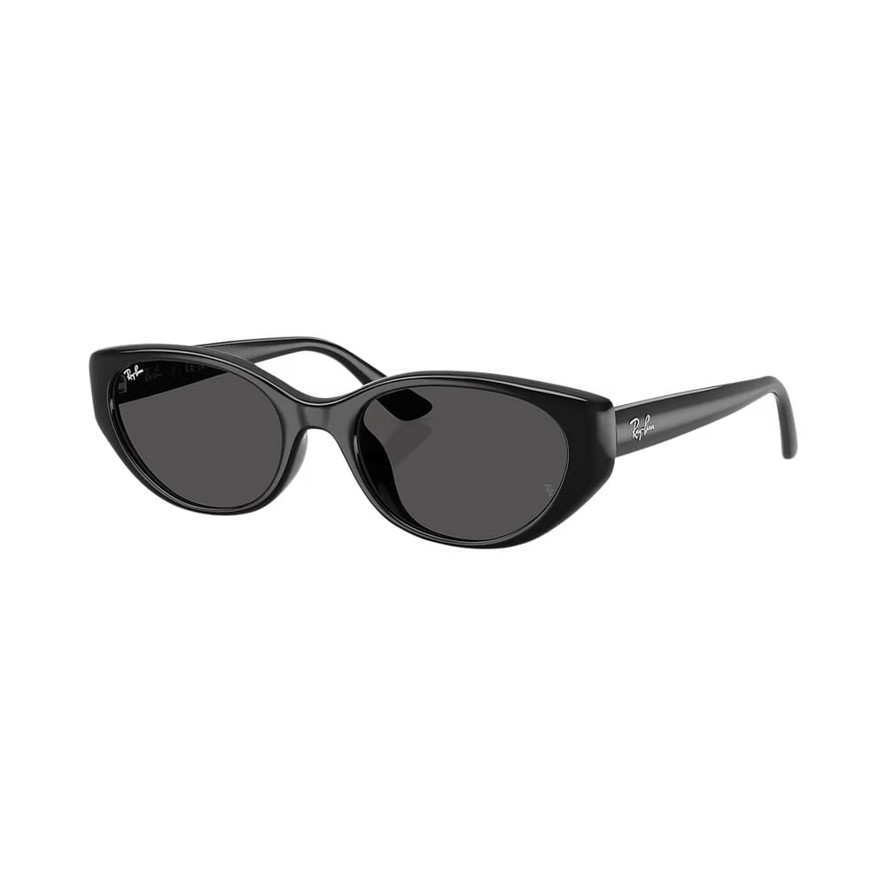 Ray-Ban Bio-Based Sunglasses Black/Dark Grey