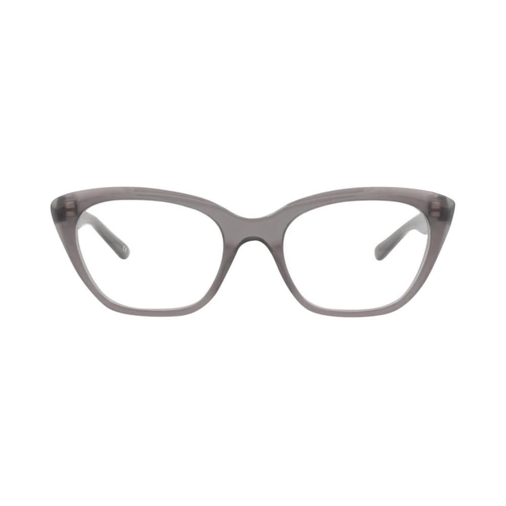 Balenciaga Cat Eye-Frame Acetate Optical Frames Grey Transparent