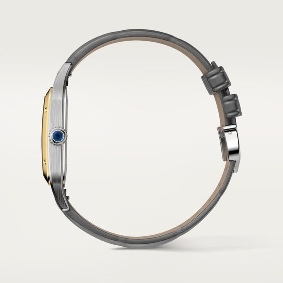 Cartier Santos