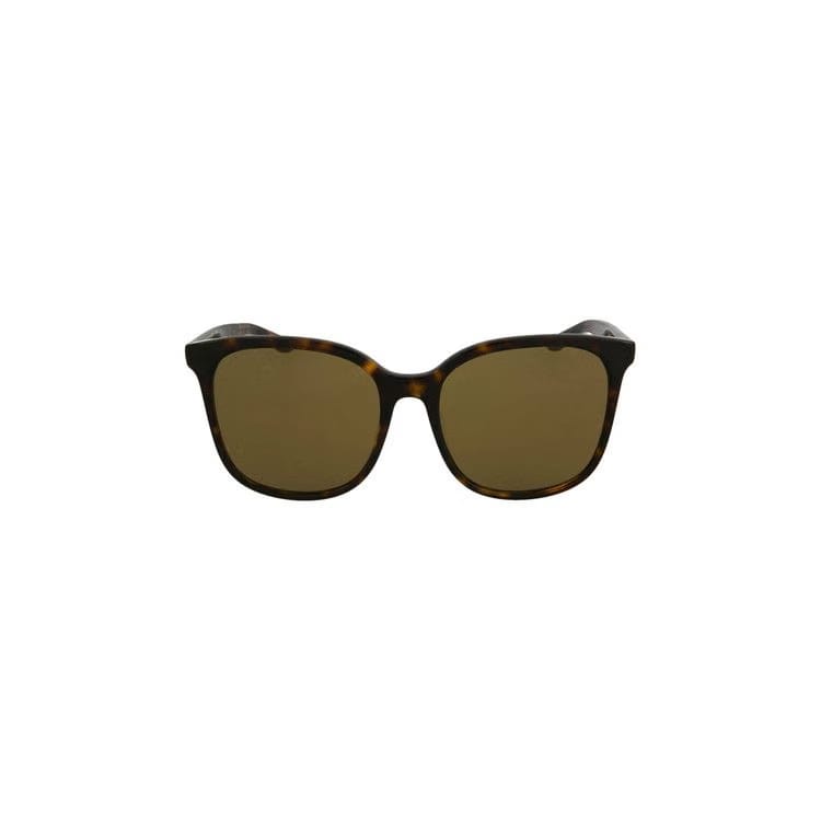 Balenciaga Oversized Square Acetate Sunglasses Brown