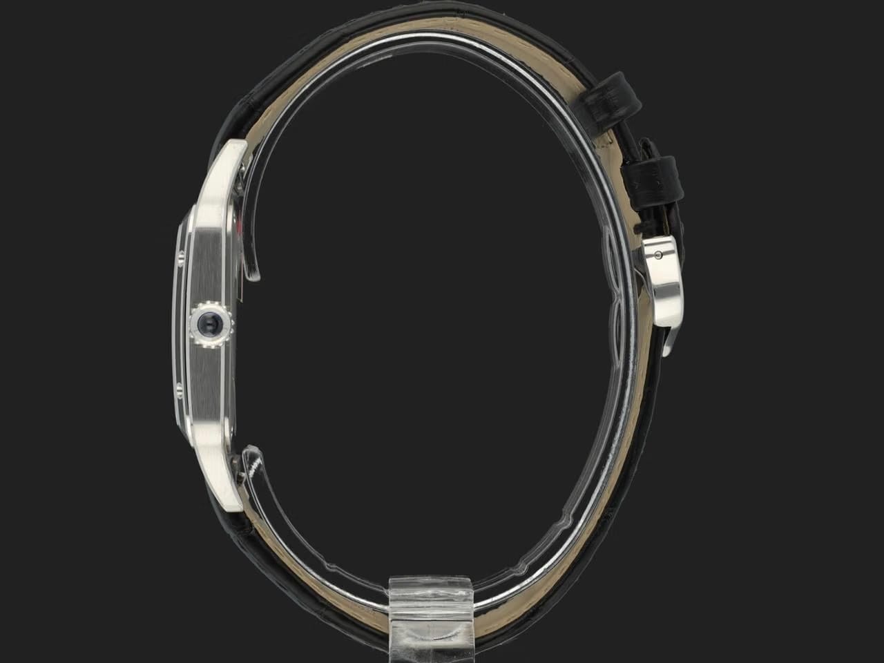 Cartier Santos