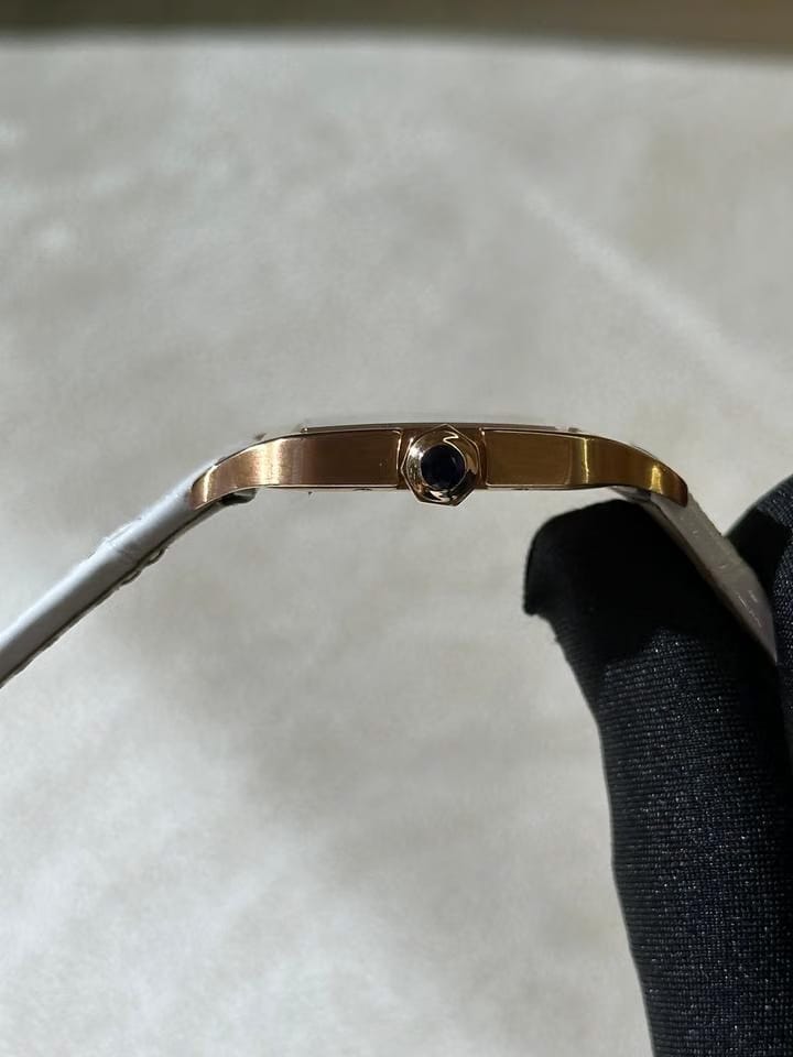 Cartier Santos