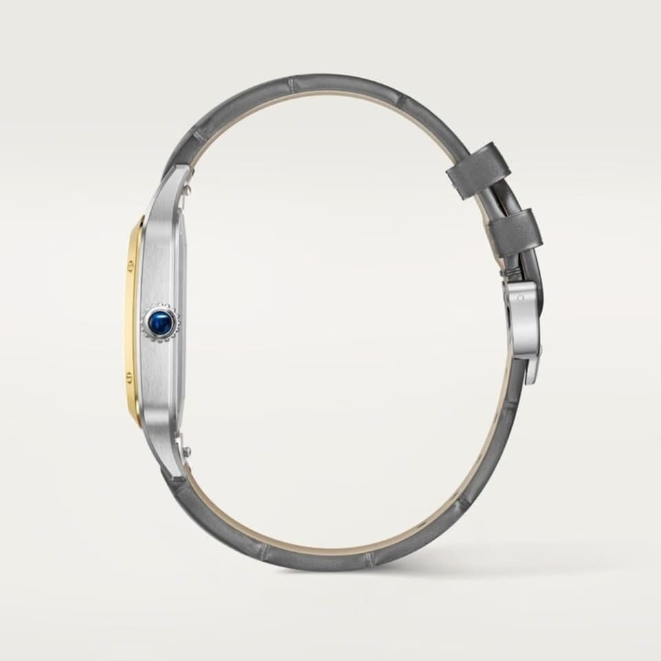 Cartier Santos