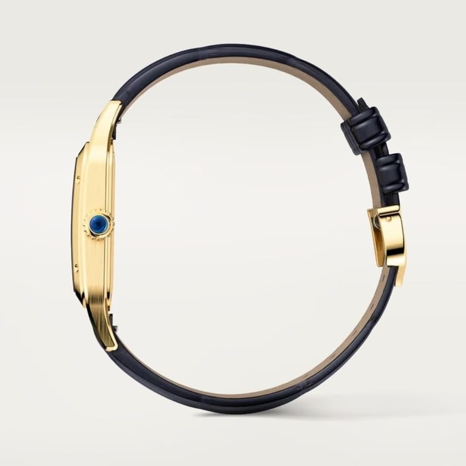 Cartier Santos