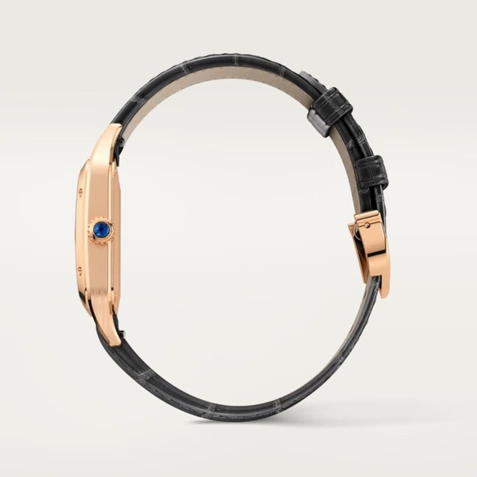 Cartier Santos