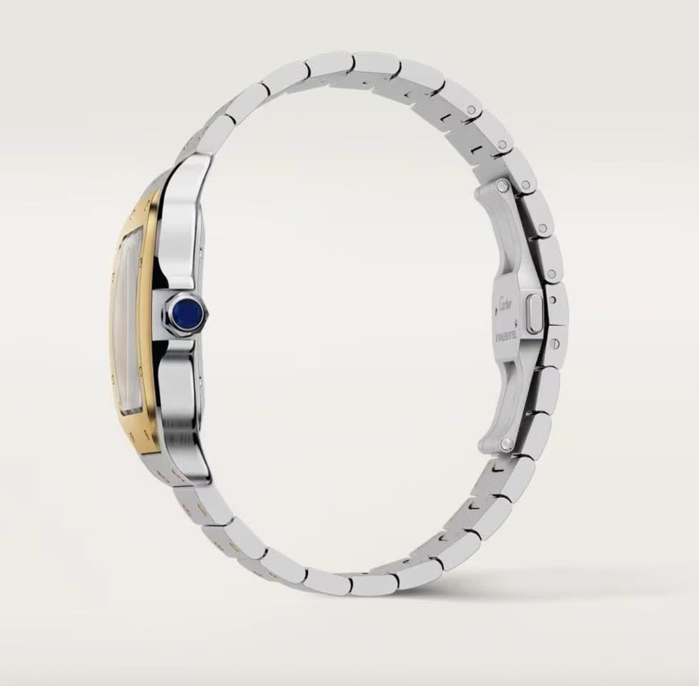 Cartier Santos