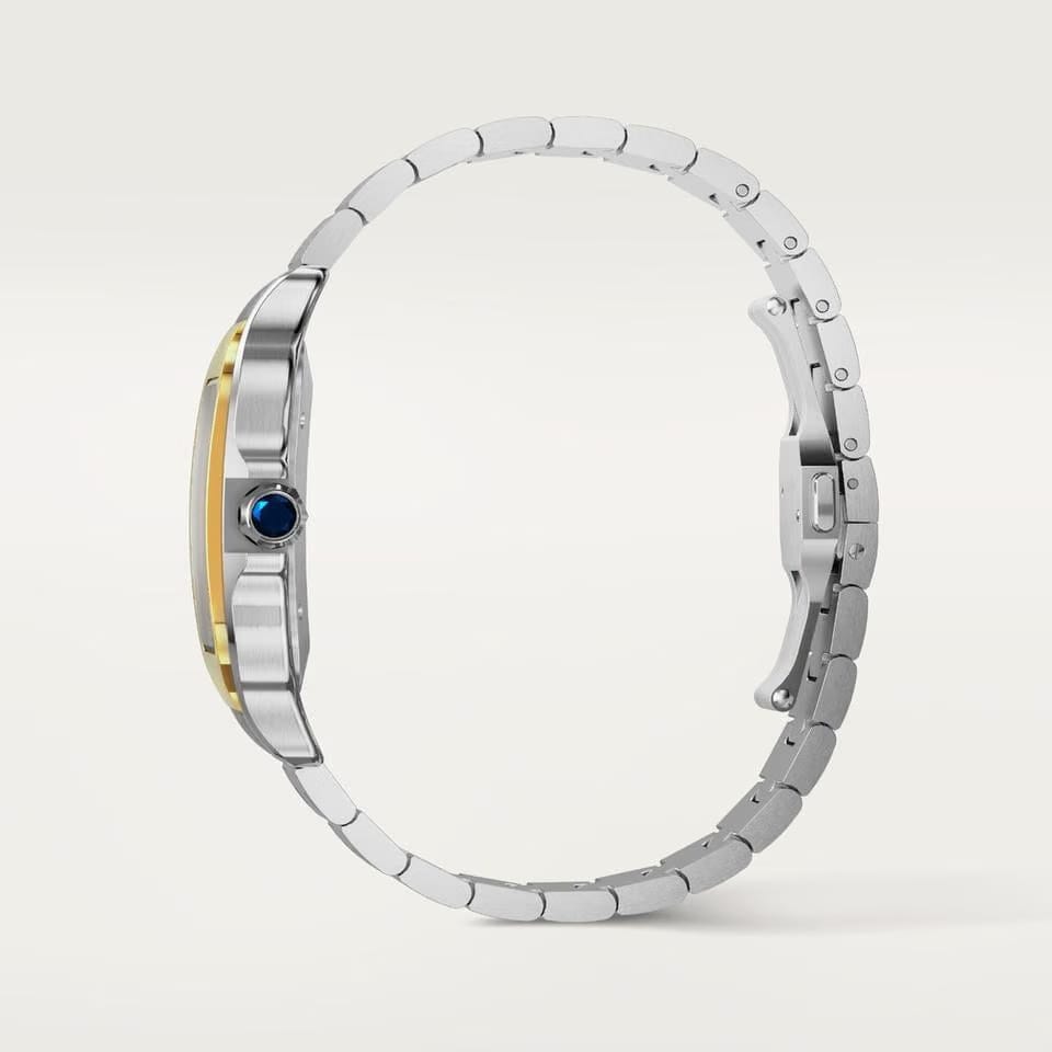 Cartier Santos
