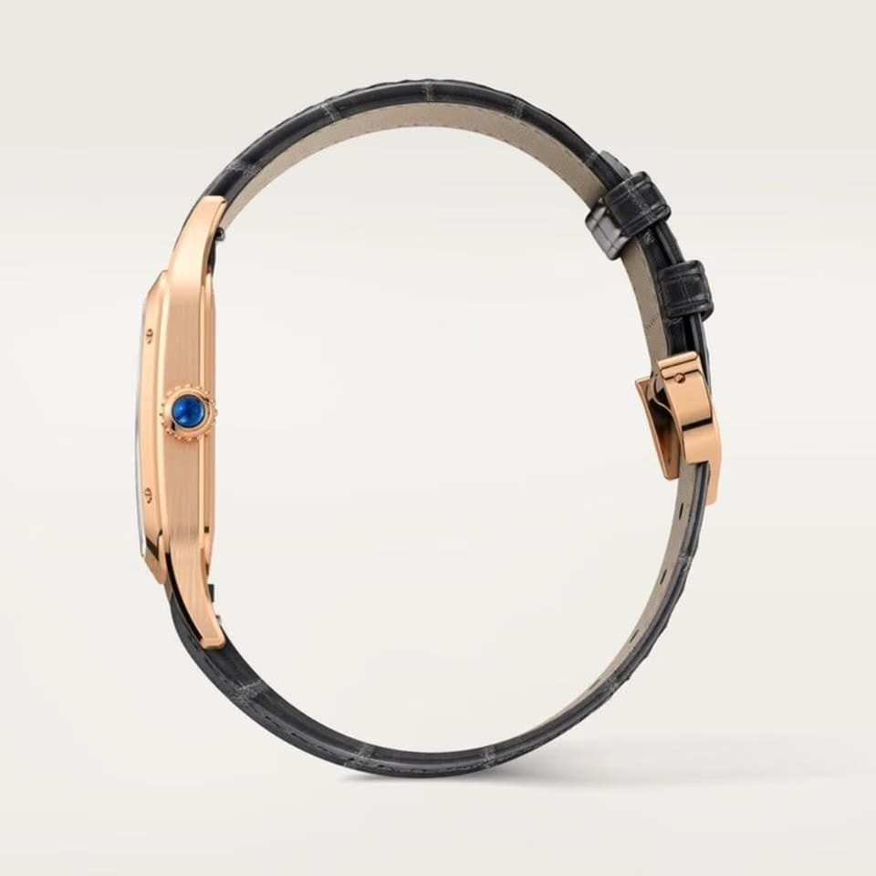 Cartier Santos