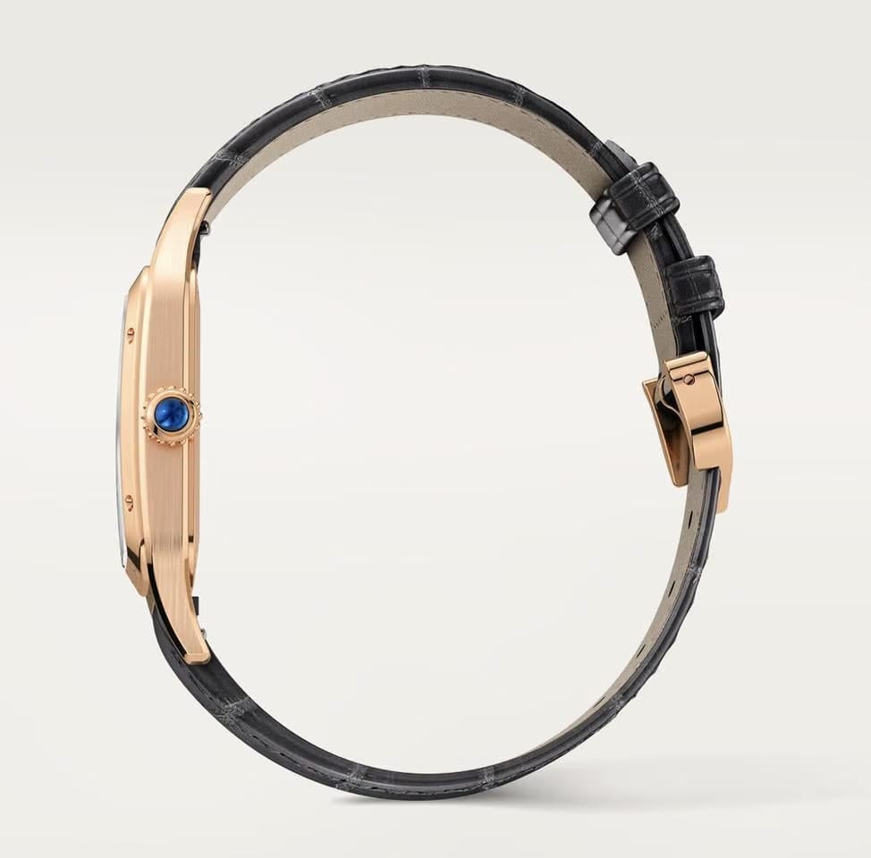 Cartier Santos