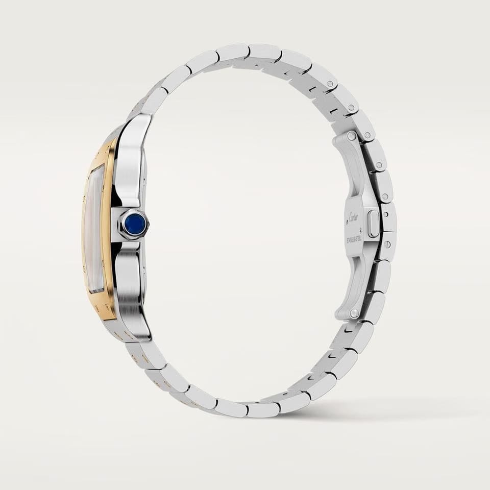 Cartier Santos
