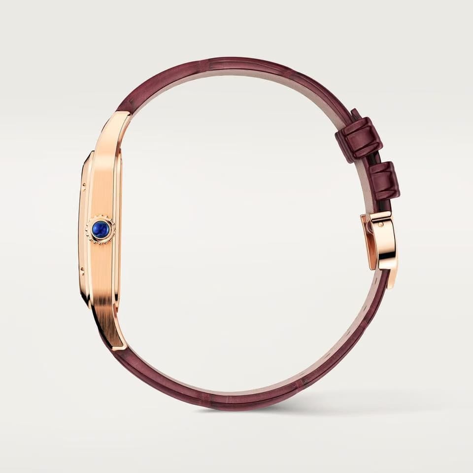 Cartier Santos
