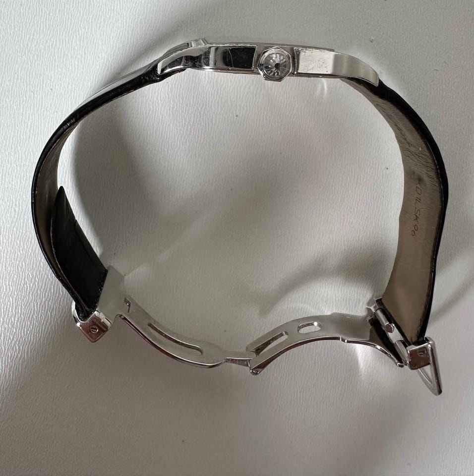Cartier Santos