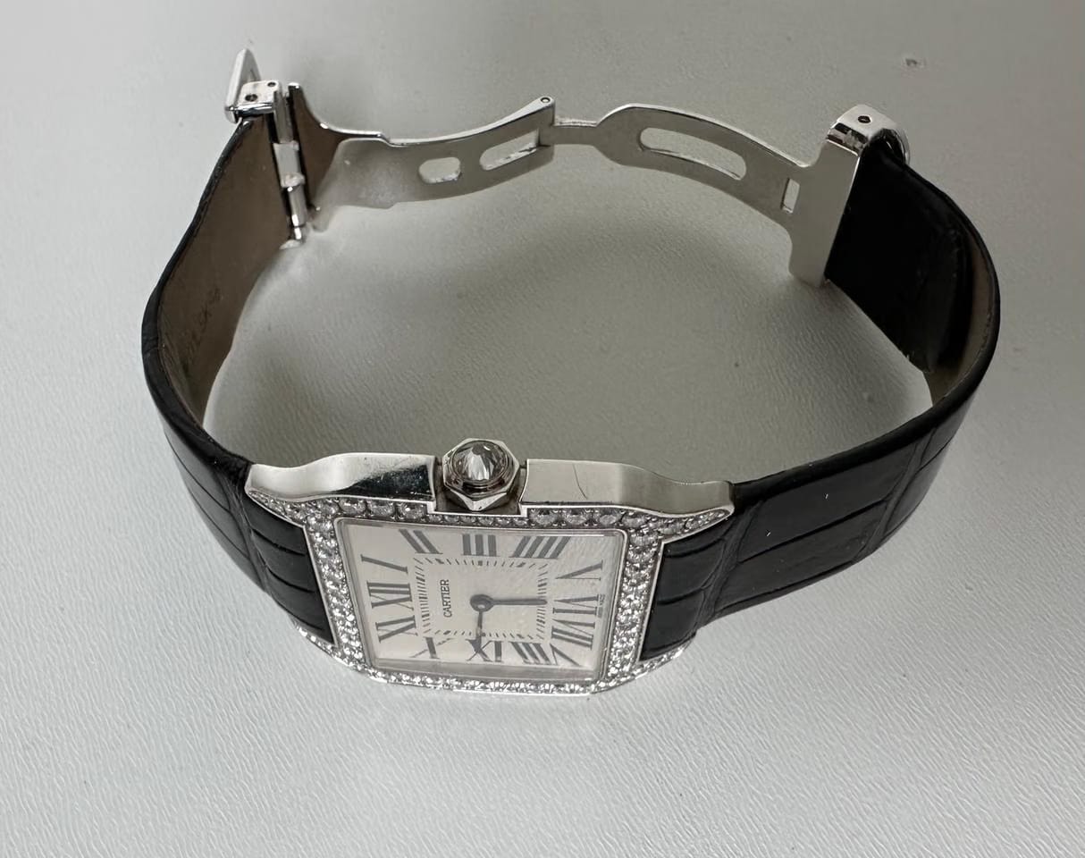 Cartier Santos