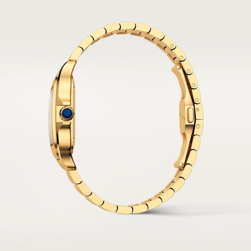 Cartier Santos