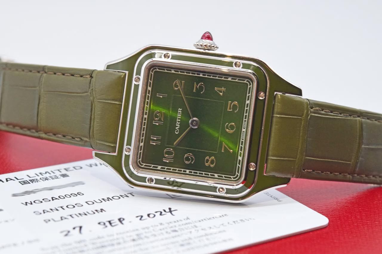 Cartier WGSA0096