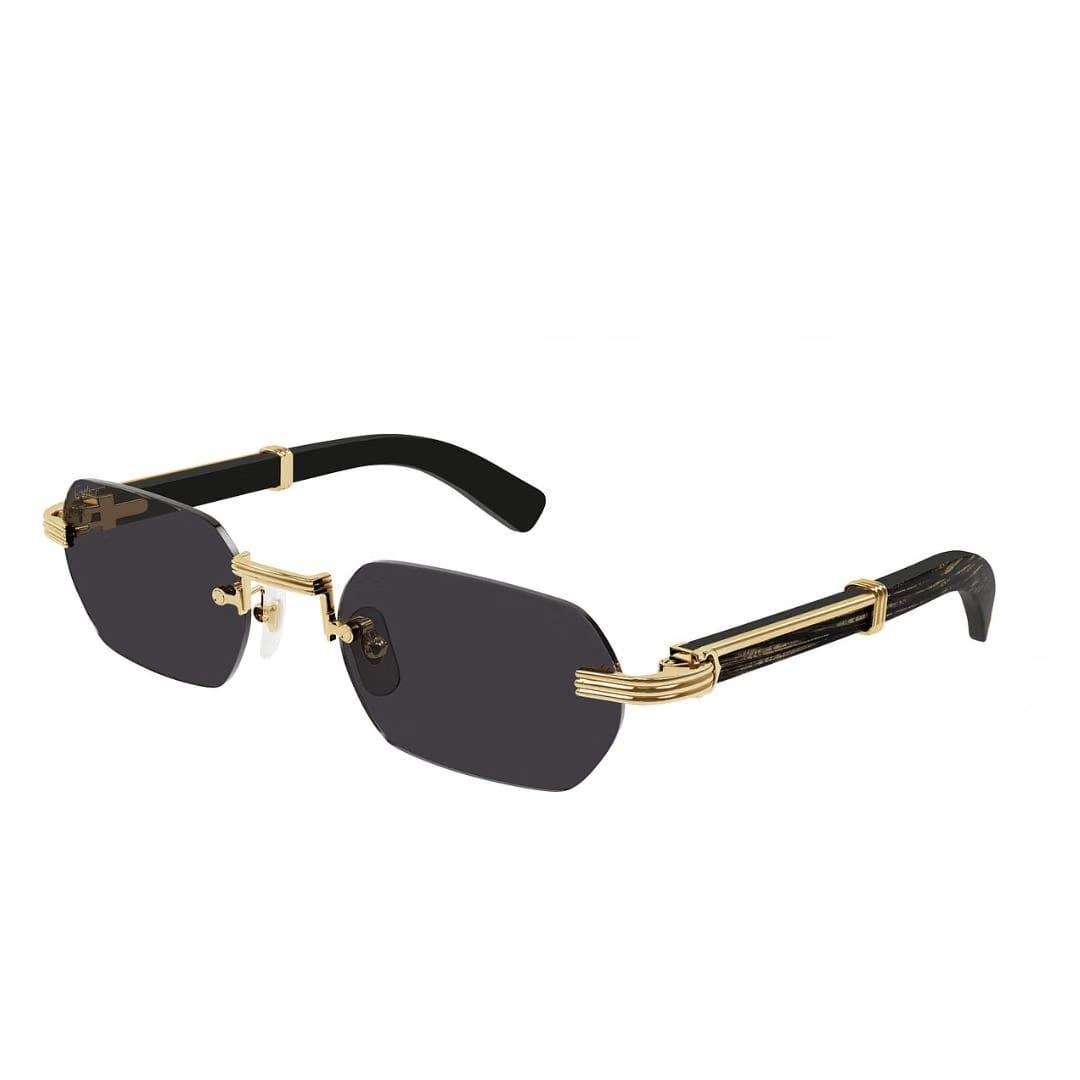 Cartier Eyewear CT0313O
