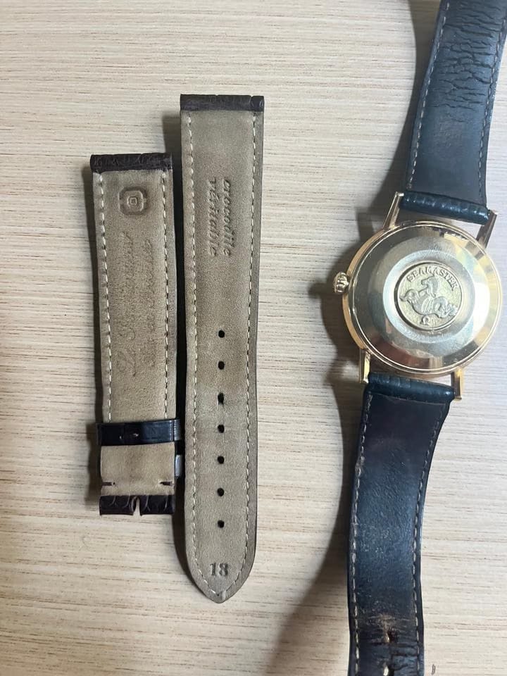 Omega Seamaster