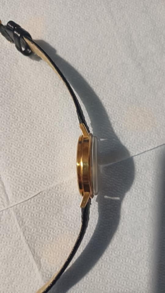 Omega Seamaster