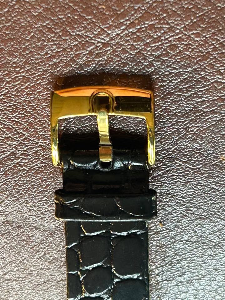 Omega Seamaster