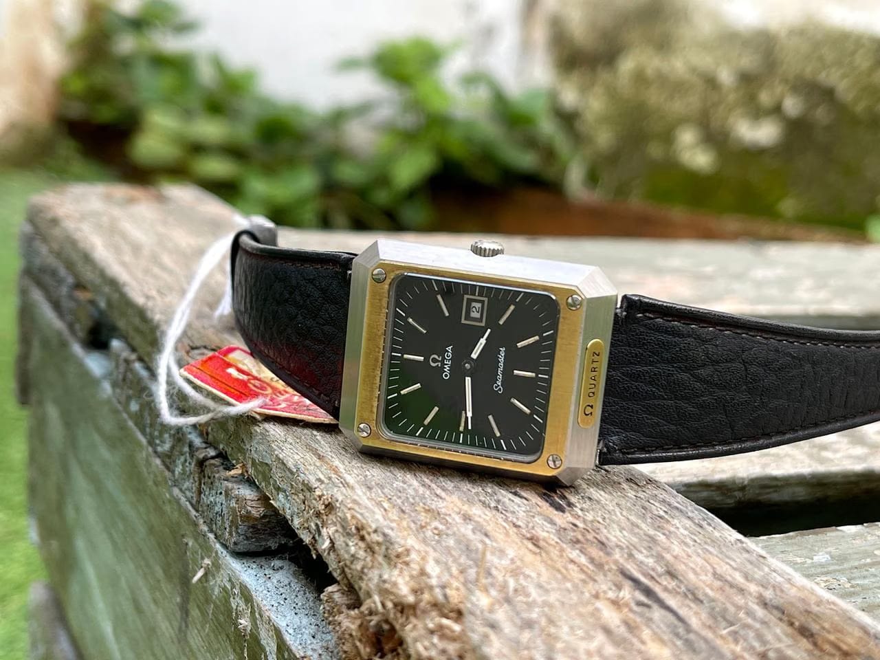 Omega Seamaster