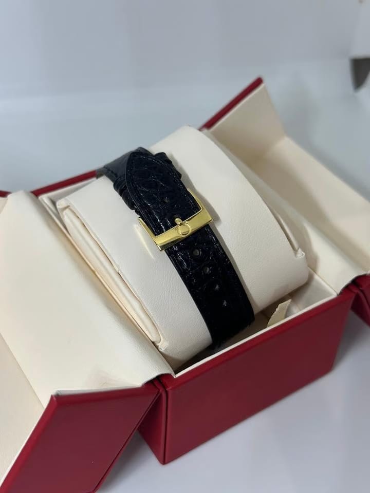 Omega Seamaster