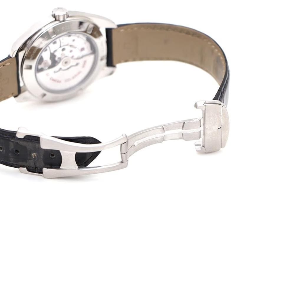 Omega Seamaster