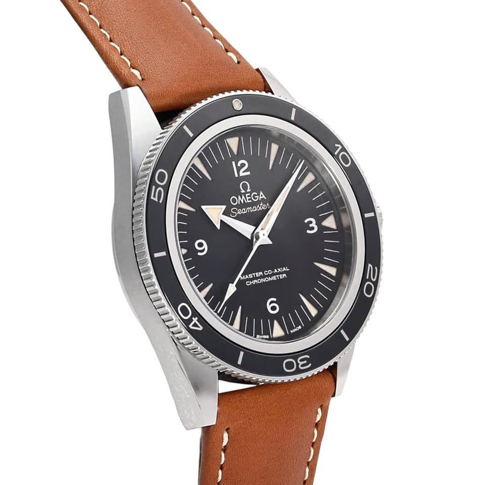 Omega Seamaster
