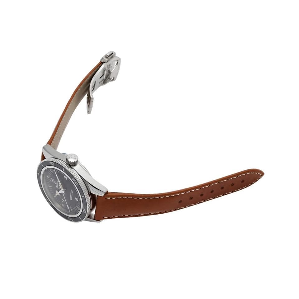 Omega Seamaster