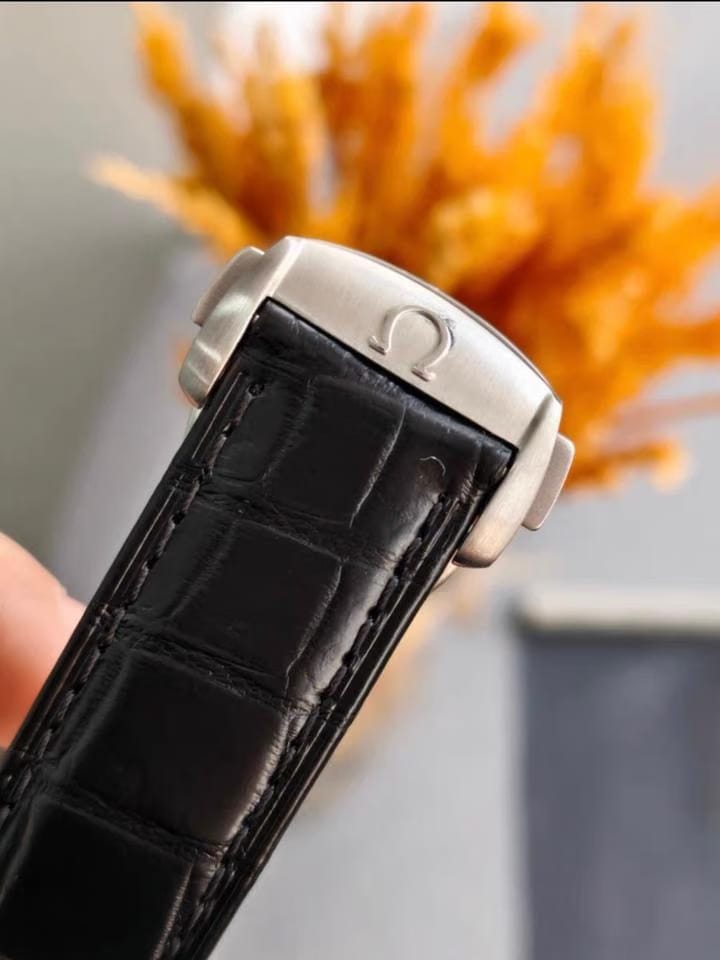 Omega Seamaster