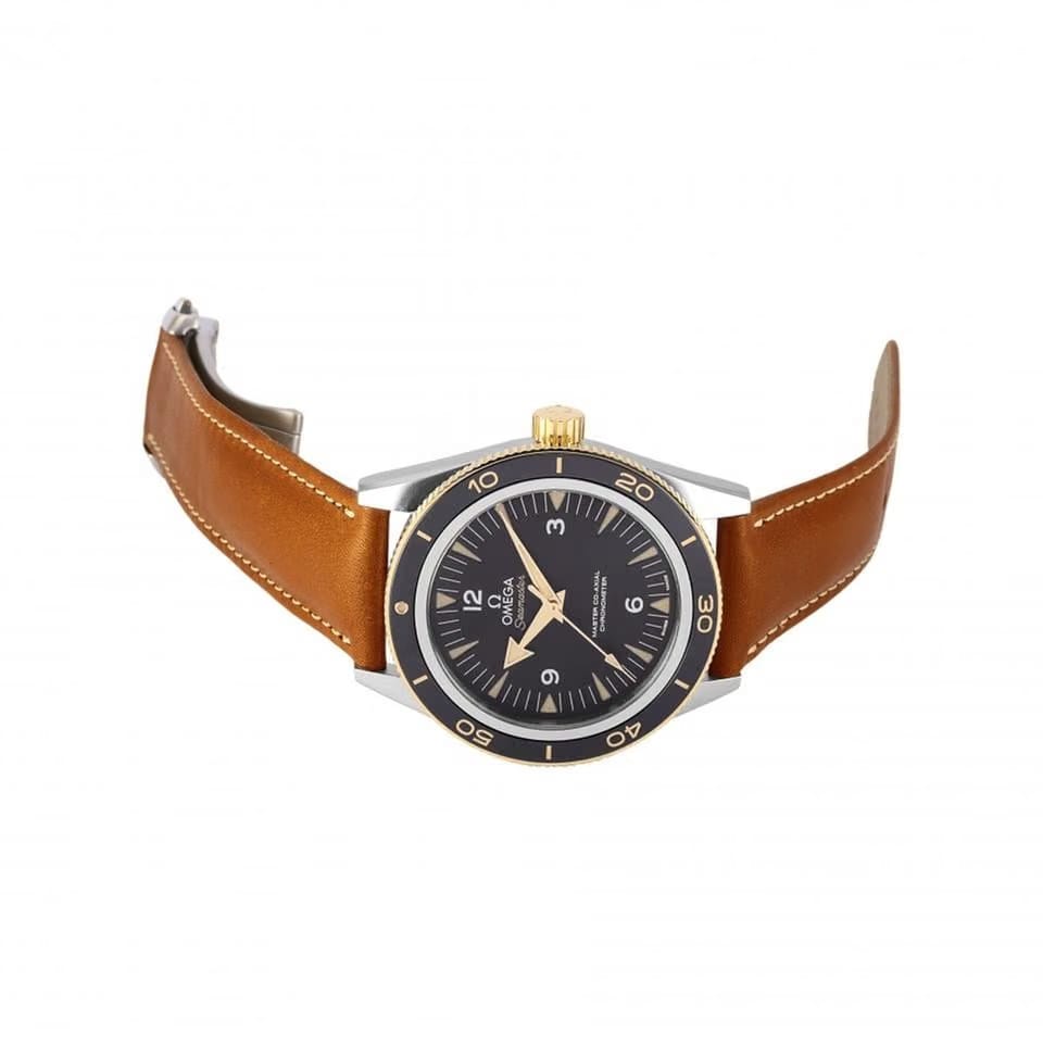 Omega Seamaster