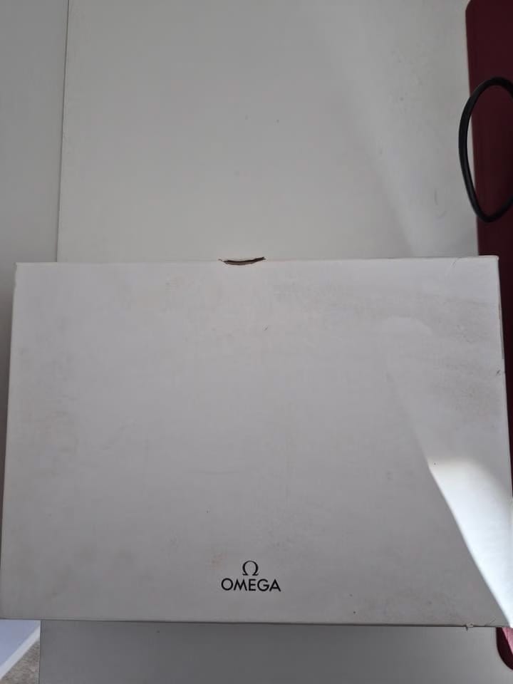Omega Seamaster Men's Steel Seamaster