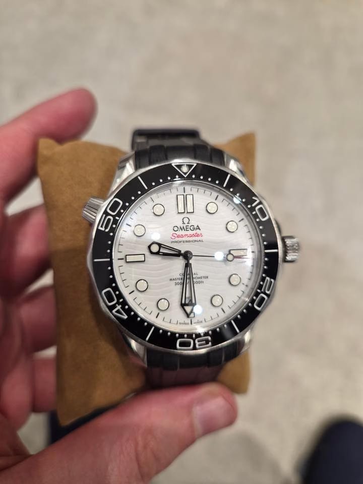 Omega Seamaster Men's Steel Seamaster