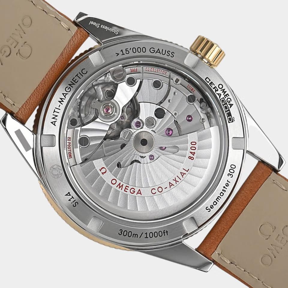 Omega Seamaster 300 Master Co-Axial Chronometer / Steel&Yellow Gold / 41.0 mm / 233.22.41.21.01.001