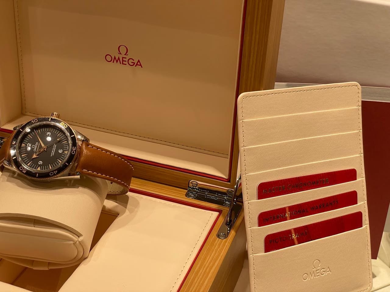 Omega Seamaster 300233.22.41.21.01.002