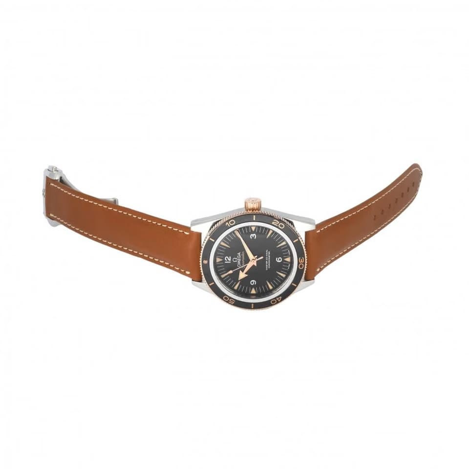 Omega Seamaster 300233.22.41.21.01.002 Automatic Gold/Steel New