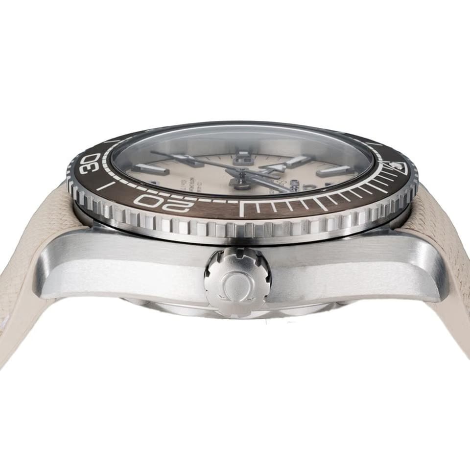 Omega Seamaster Planet Ocean215.32.44.21.01.002 others