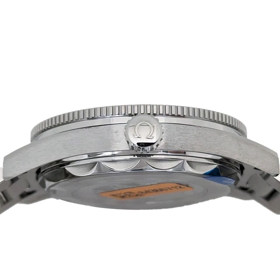 Omega Seamaster234.30.41.21.03.002
