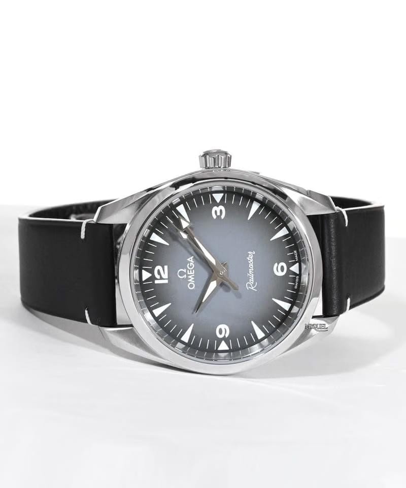 Omega Seamaster Railmastergrey dial 38mm 235.12.38.20.06.001
