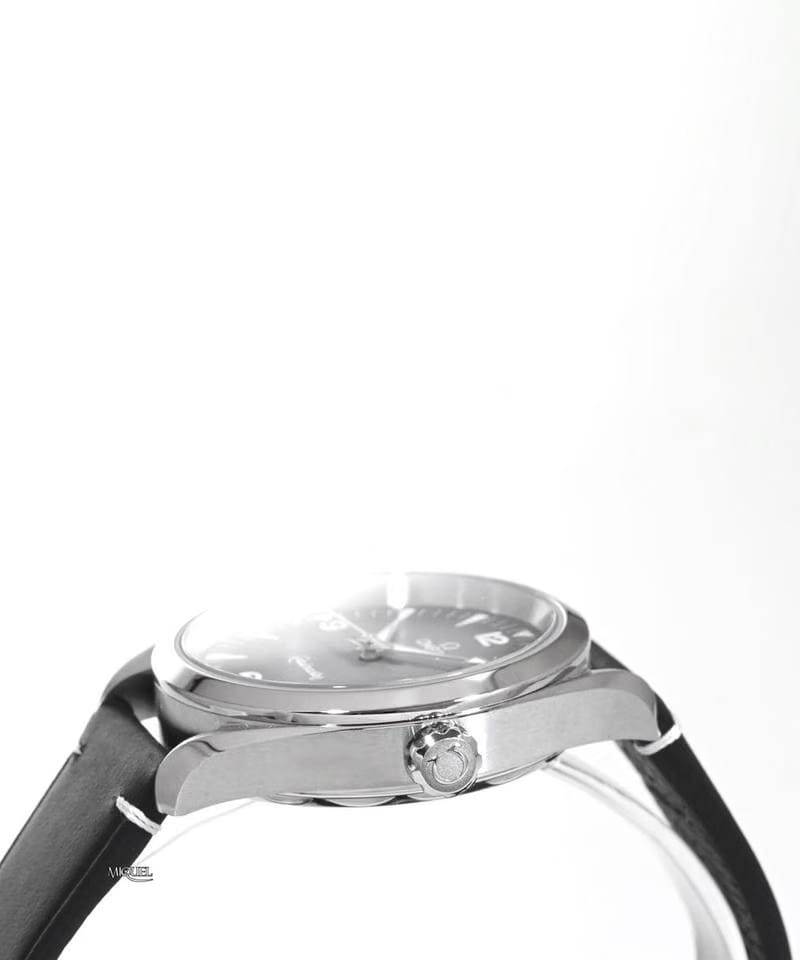 Omega Seamaster Railmastergrey dial 38mm 235.12.38.20.06.001