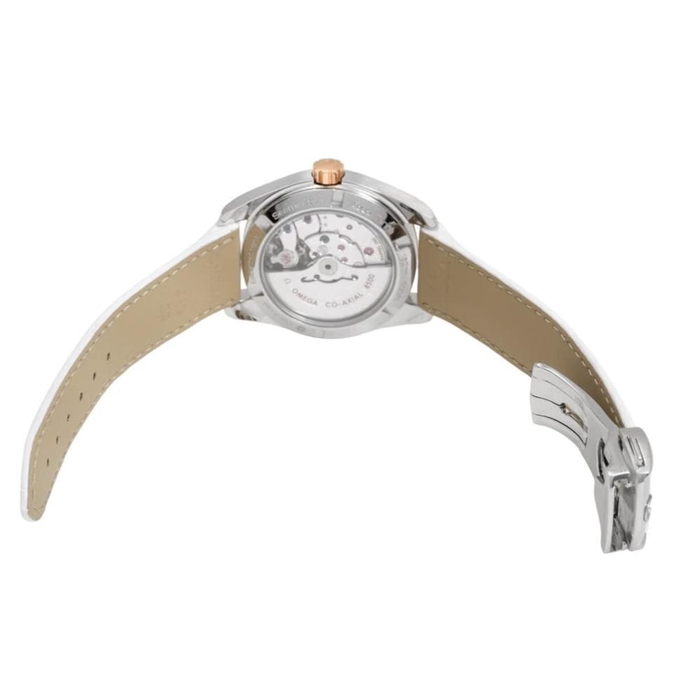 Omega Seamaster Aqua Terra231.23.39.21.52.001 Automatic New