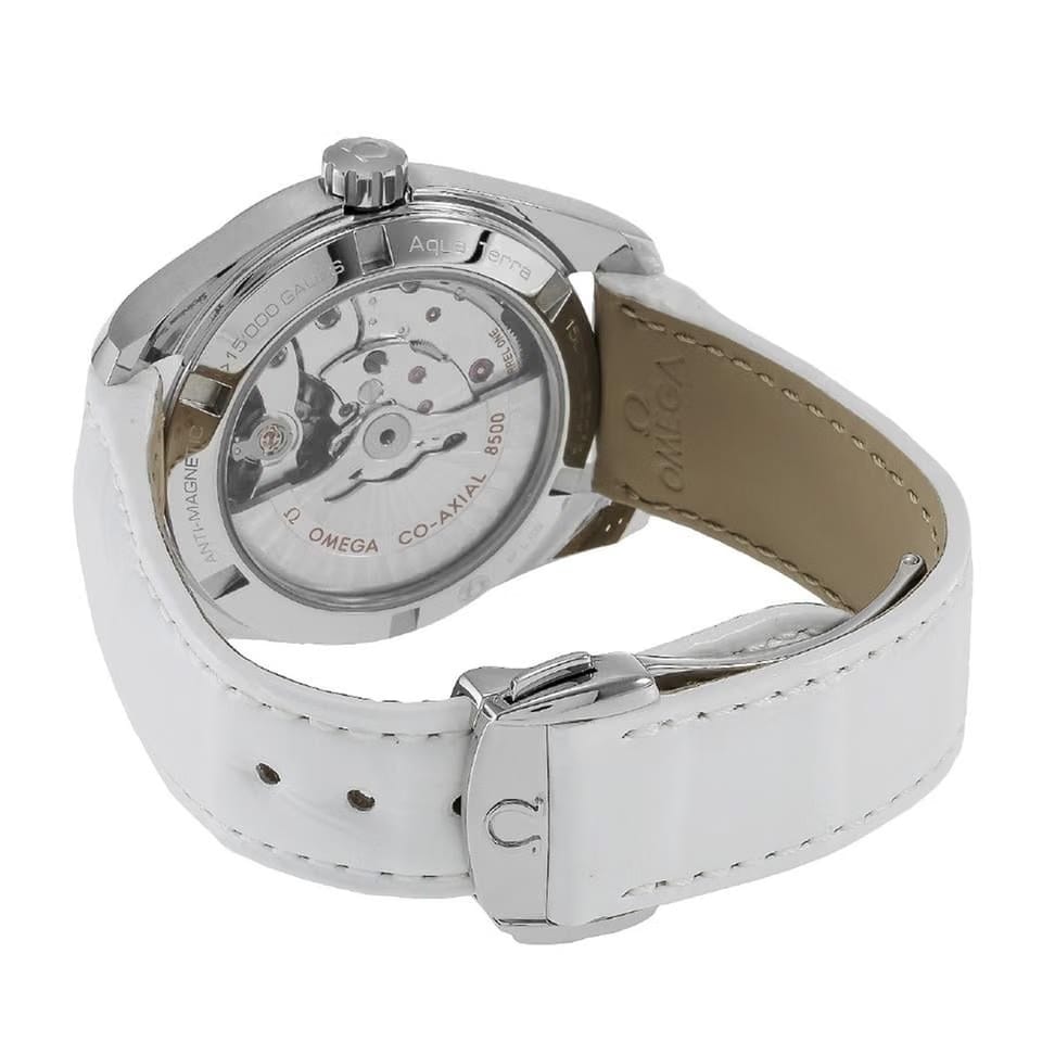 Omega Seamaster Aqua Terra5 Year Warranty White 231.13.39.21.55.002 [Parallel Import]