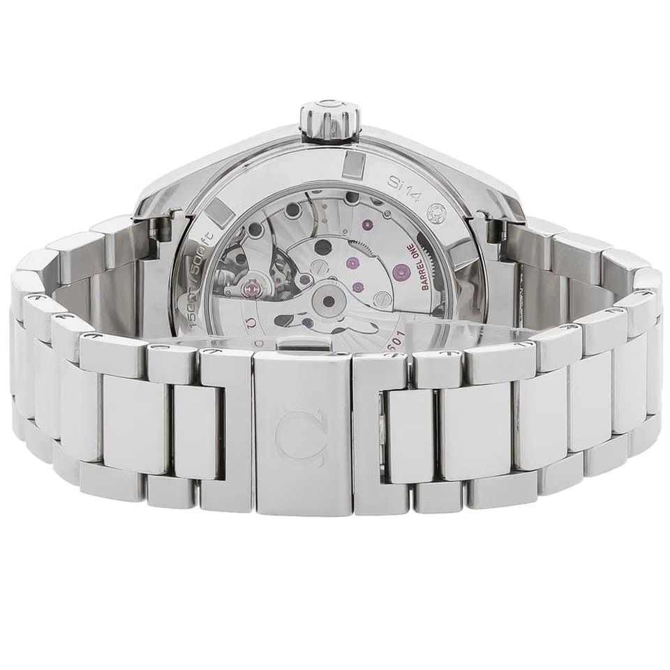 Omega Seamaster Aqua Terra Stainless Automatic Watch 231.10.39.22.02.001