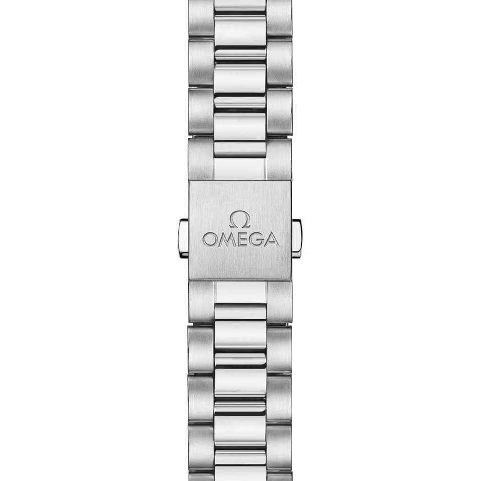 Omega Seamaster Aqua Terra150 M Seamaster Aqua Terra 150 M 41 mm steel on steel - 220.10.41.21.03.006