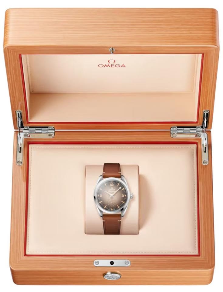 Omega Seamaster Railmaster Co-axial Master Chronometer Railmaster Brown dial 38mm 235.12.38.20.13.001 Small Seconds
