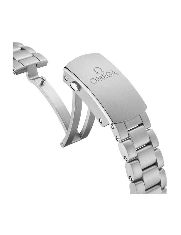 Omega Seamaster Planet Ocean600m 39.5 mm otomatik saat 215.30.40.20.03.002
