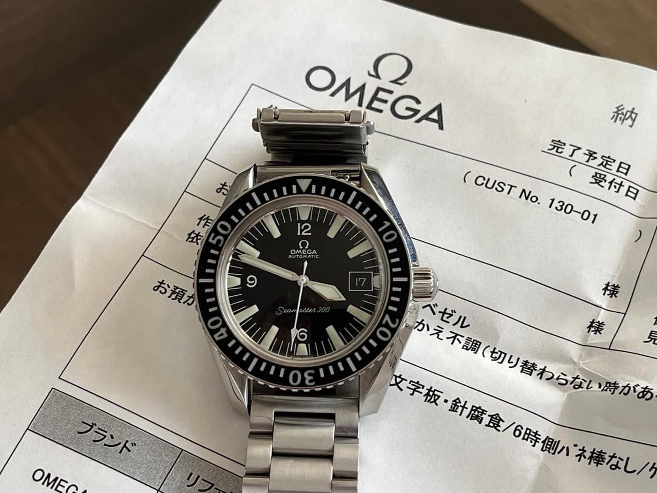 Omega Seamaster 300166.024
