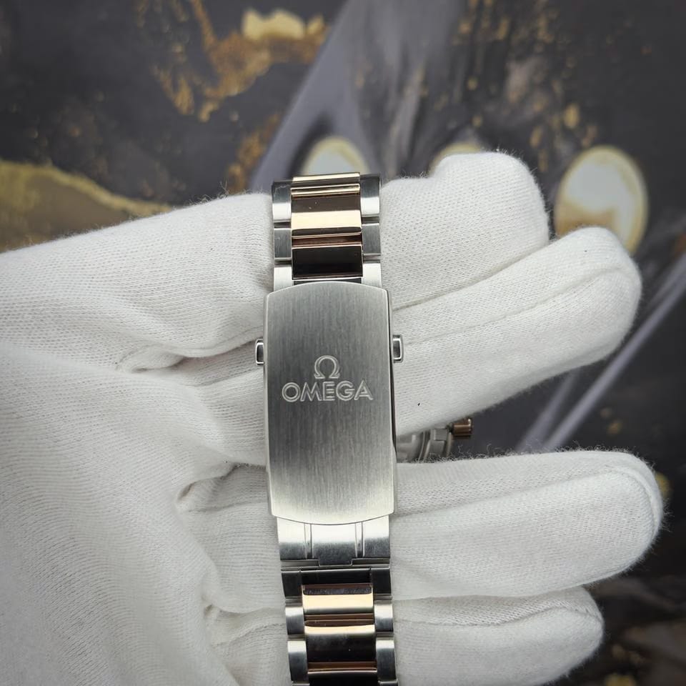 Omega Seamaster 300233.20.41.21.01.001